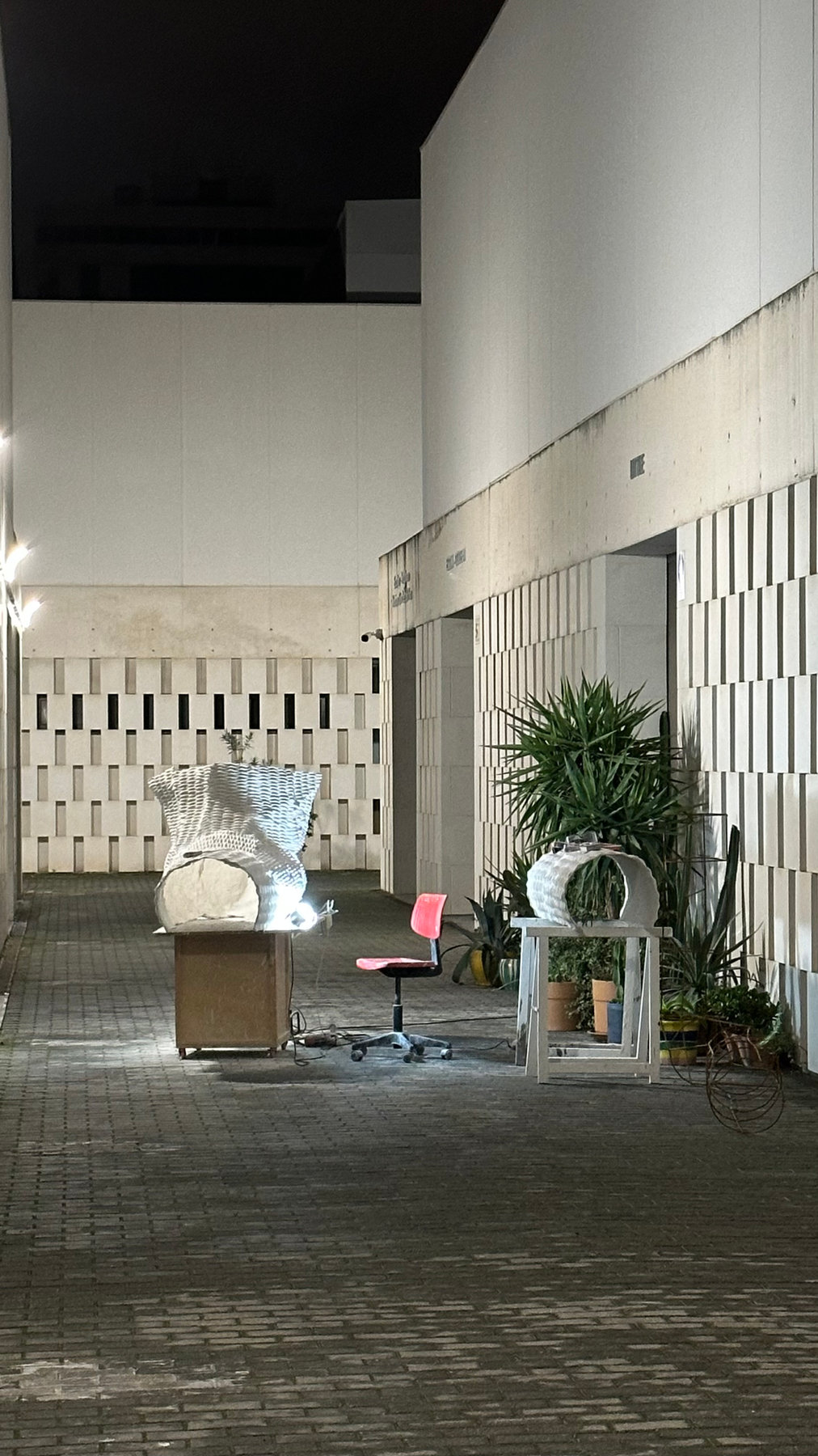 Estudio 25