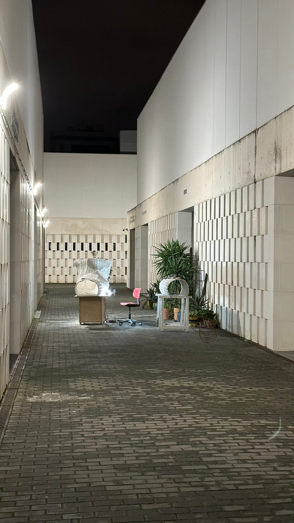 Estudio 25